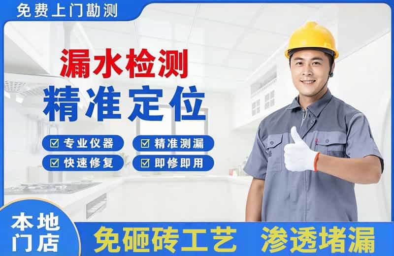 嬉子湖漏水检测精准定位